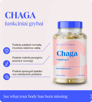 chaga functional mushrooms (30 caps.)