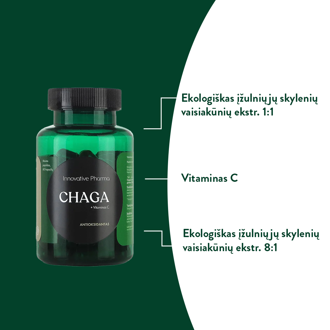 CHAGA kapsulės antioksidantai