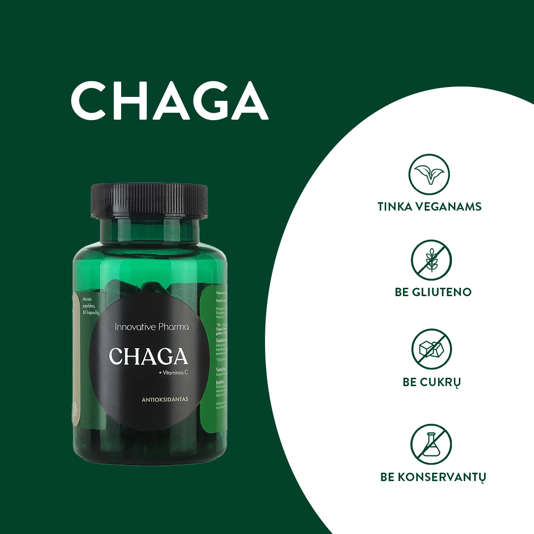 CHAGA kapsulės antioksidantai