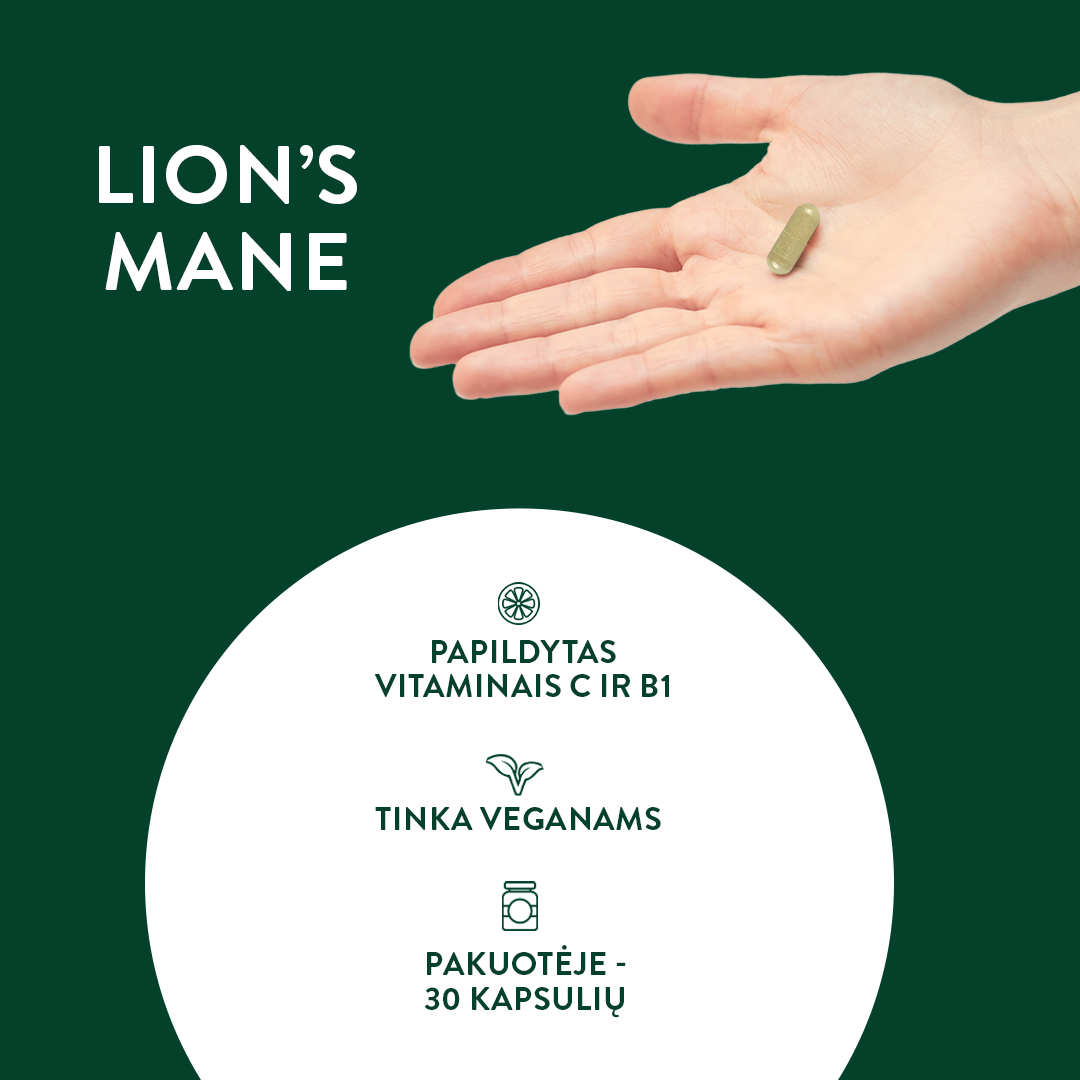 LION`S MANE kapsulės smegenų veiklai