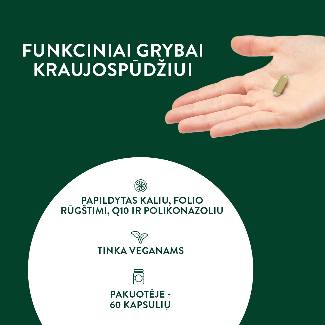 Funkcinių grybų mišinys KRAUJOSPŪDŽIUI (60 kaps.)