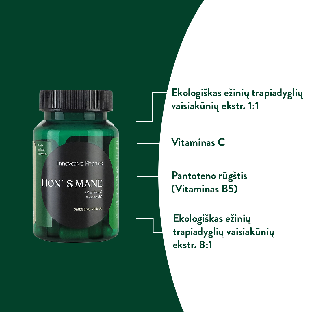 LION`S MANE kapsulės smegenų veiklai
