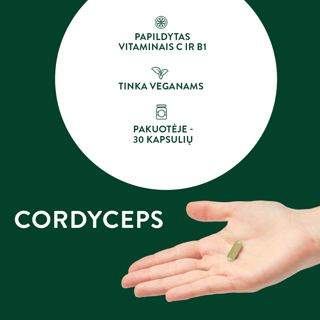 CORDYCEPS kapsulės energijai