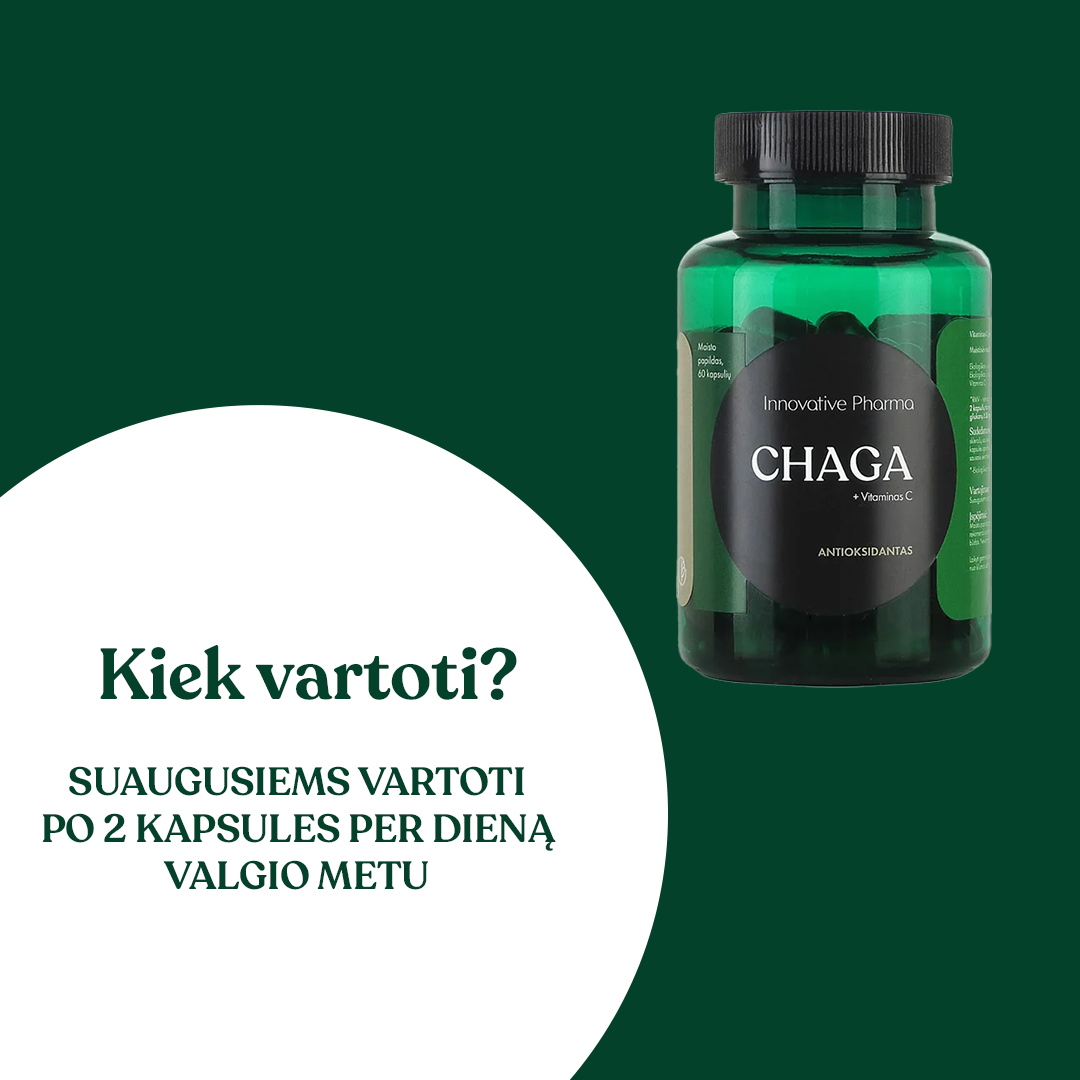 CHAGA kapsulės antioksidantai