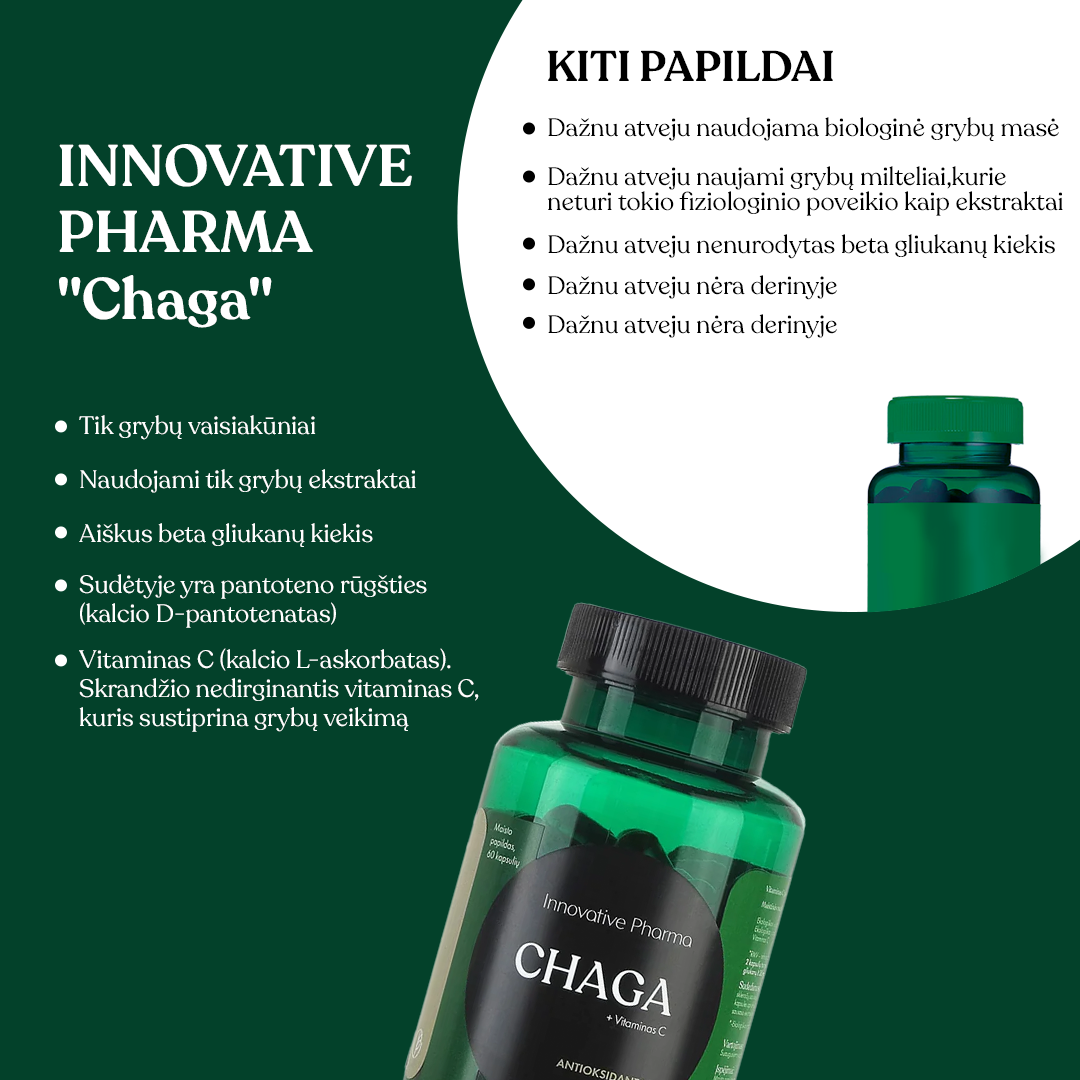 CHAGA kapsulės antioksidantai