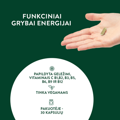 Funkcinių grybų mišinys ENERGIJAI (30 kaps.)